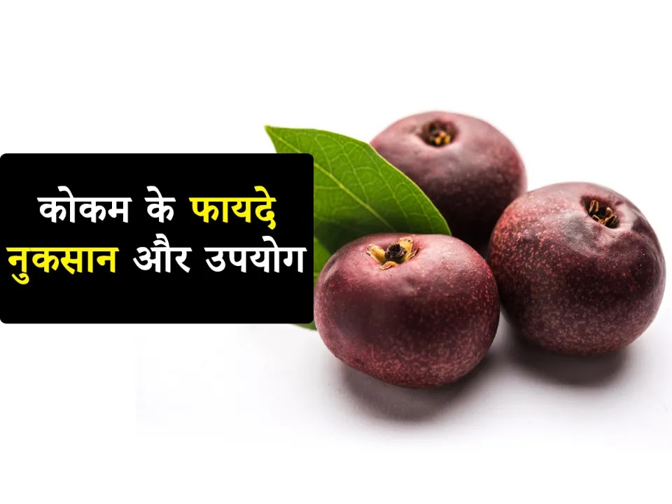 Kokum Uses, Benefits, Side Effects in Hindi