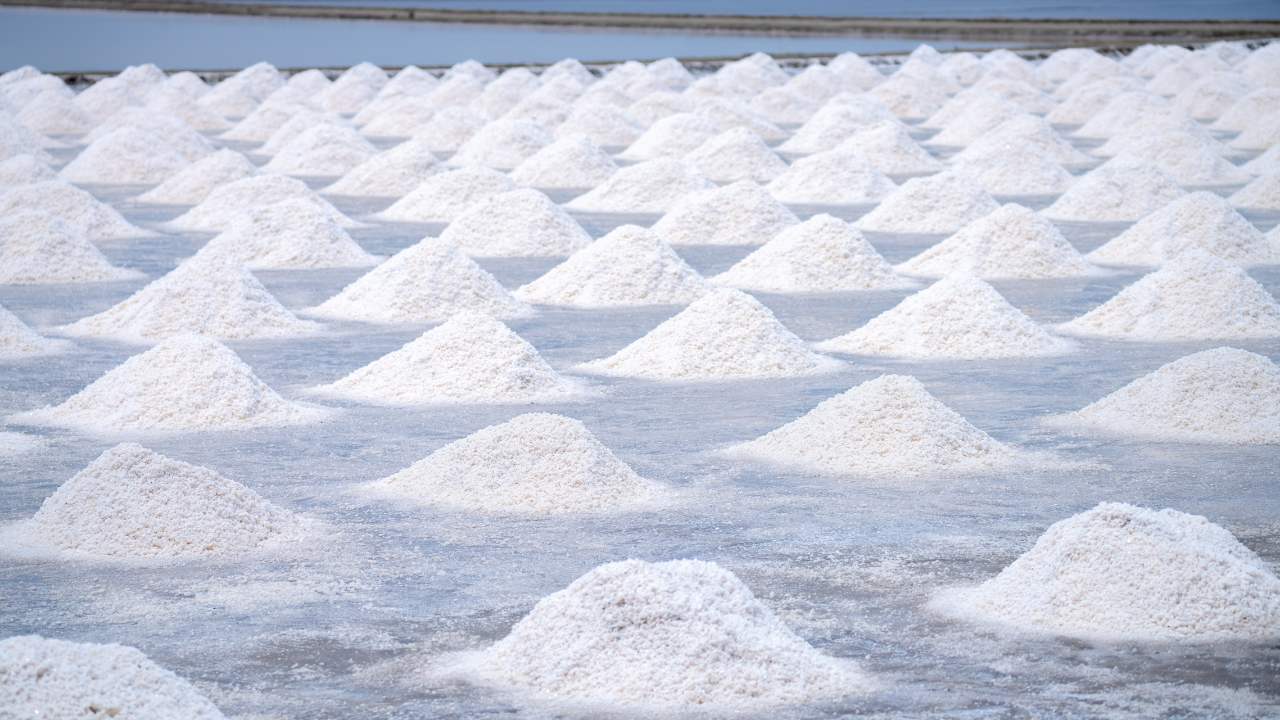 sea salt in hindi